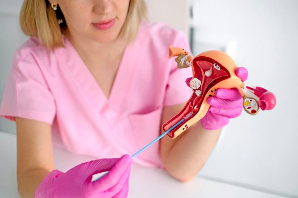 A gynecologist using model of female uterus shows students the process of taking gynecological swabs